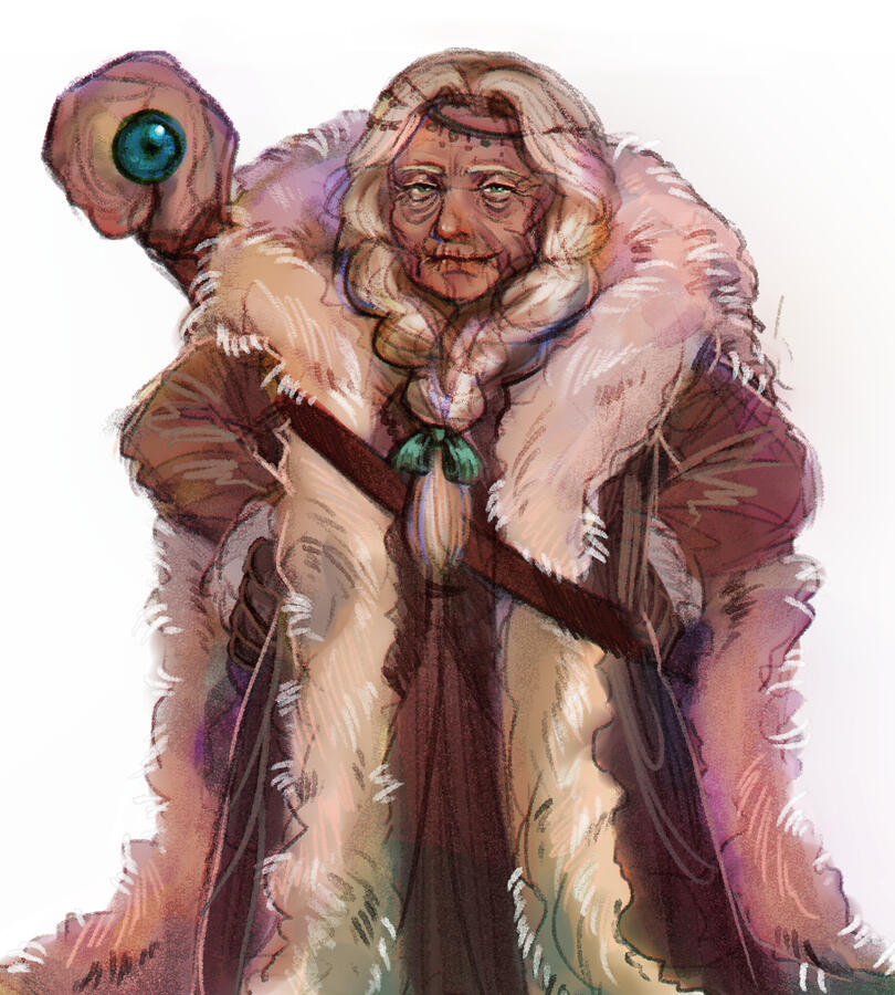 DnD Character Illustration DnD Character Illustration